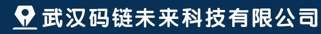 武汉码链未来科技有限公司